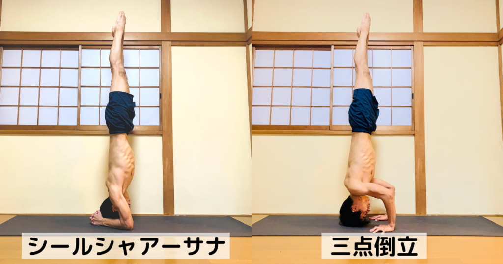 シールシャアーサナ　頭立ち