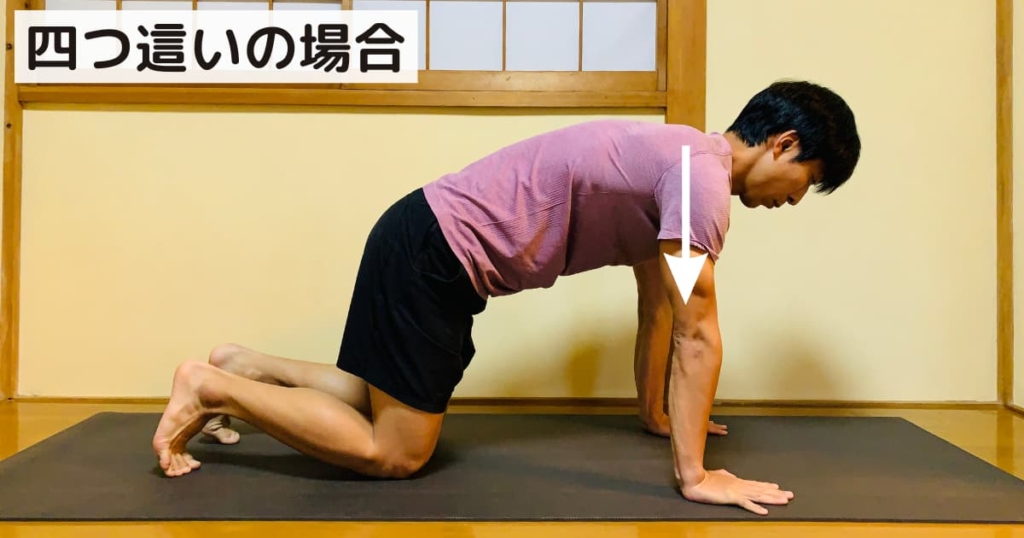 ヨガ 四つ這い